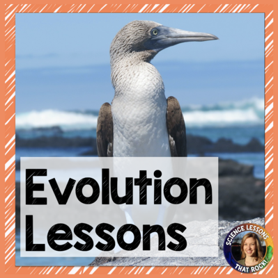 Evolution Lessons