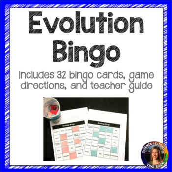 Evolution Bingo Vocabulary Review Game