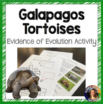 Galapagos Tortoises Evidence of Evolution Activity