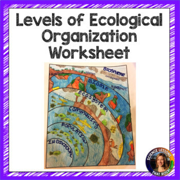 Levels of Ecological Organization Worksheet