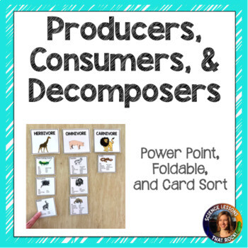 Producers Consumers and Decomposers