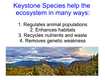 Keystone Species and Trophic Cascades - Store - Science Lessons That Rock