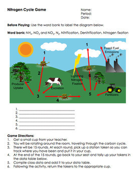 The nitrogen cycle student worksheet answers