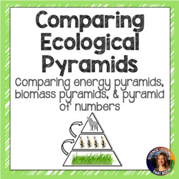 Comparing Ecological Pyramids