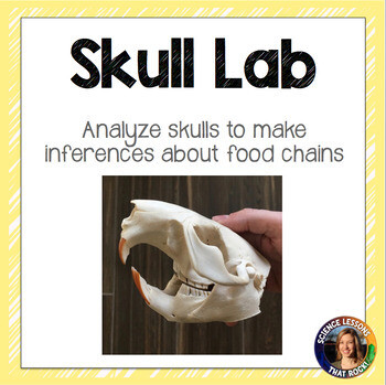 Food Chains Inference Lab with Skulls