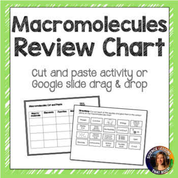 Macromolecules Review Chart for INB