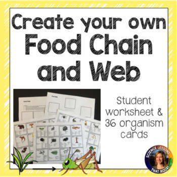 Create Your Own Food Chain and Web