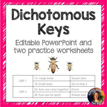Dichotomous Keys Powerpoint and Worksheets