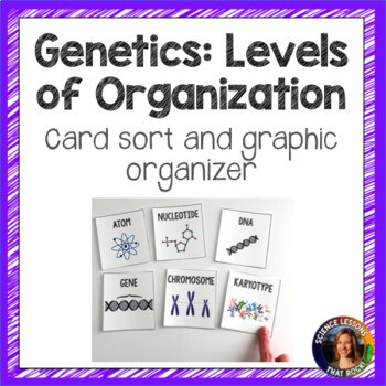 Genetics Levels of Organization INB