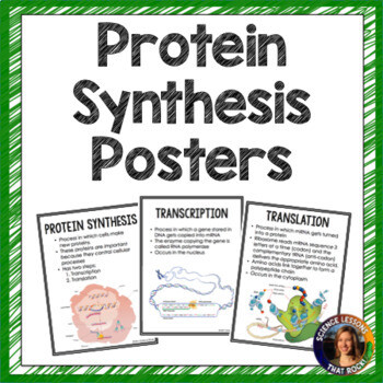 Protein Synthesis Posters