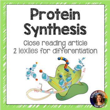 Introduction to Protein Synthesis Article