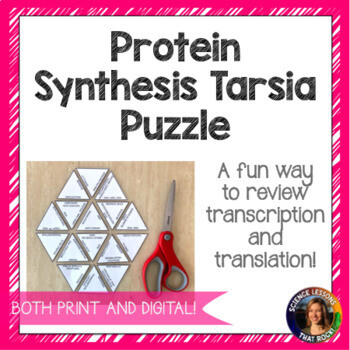 Protein Synthesis Tarsia Puzzle