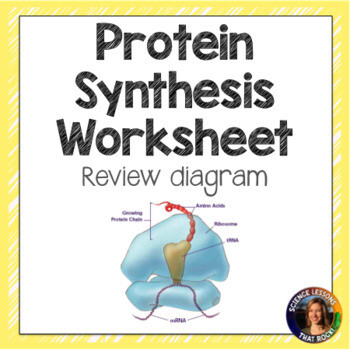 Protein Synthesis Worksheet