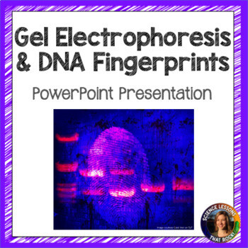 DNA Fingerprinting and Gel Electrophoresis Powerpoint
