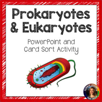 Prokaryotes and Eukaryotes