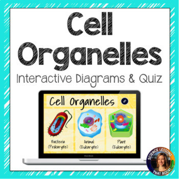 Cell Organelles Interactive Diagram