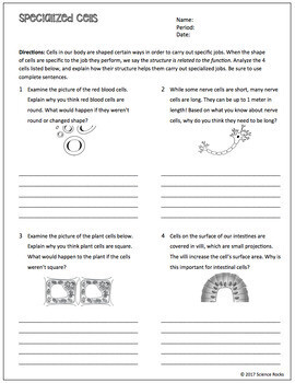 Cell Structure and Function Worksheets - Store - Science Lessons That Rock