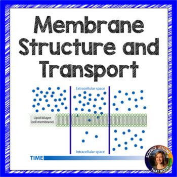 Cell Membrane Structure and Transport