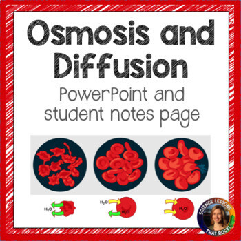 Osmosis and Diffusion Lesson