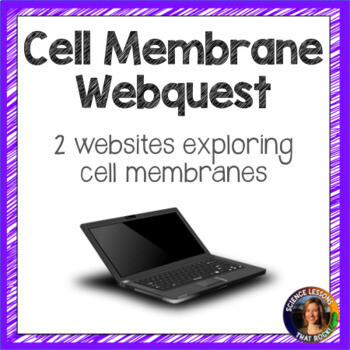 Cell Membrane Webquest