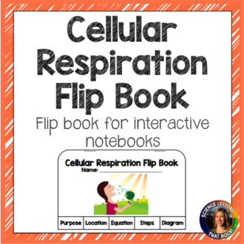 Cellular Respiration Flip Book