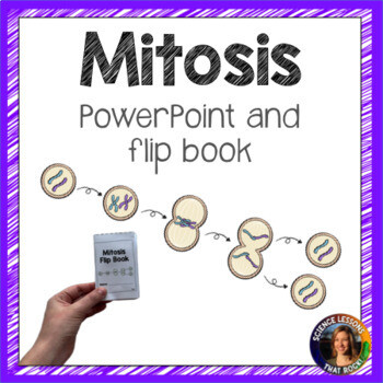 Mitosis powerpoint and flip book