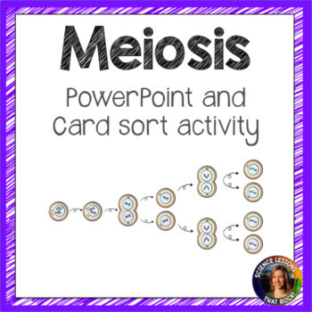 Meiosis powerpoint and card sort