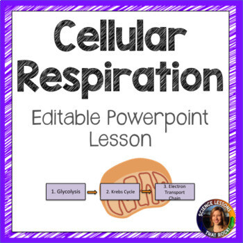 Cellular Respiration Powerpoint