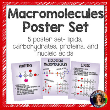 Macromolecules Poster Set