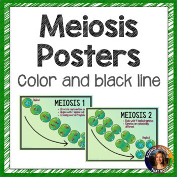 Meiosis Posters