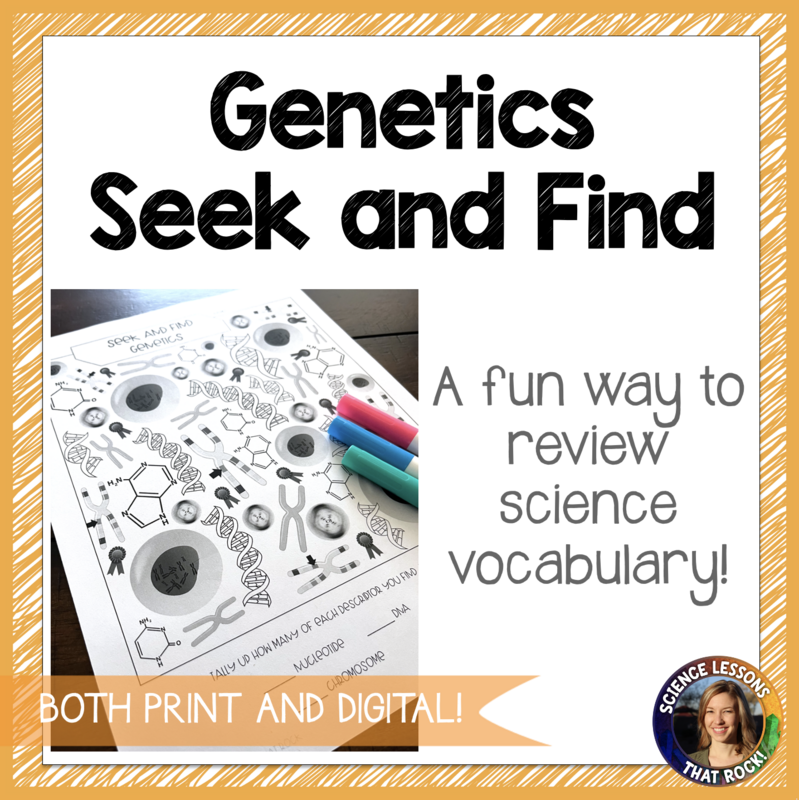 DNA and Genetics Seek and Find