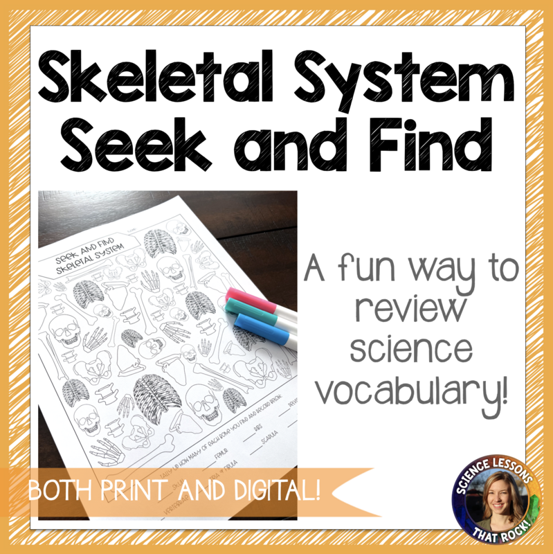 Skeletal System Seek and Find