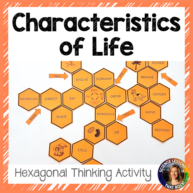 Characteristics of Life Hexagonal Thinking Activity