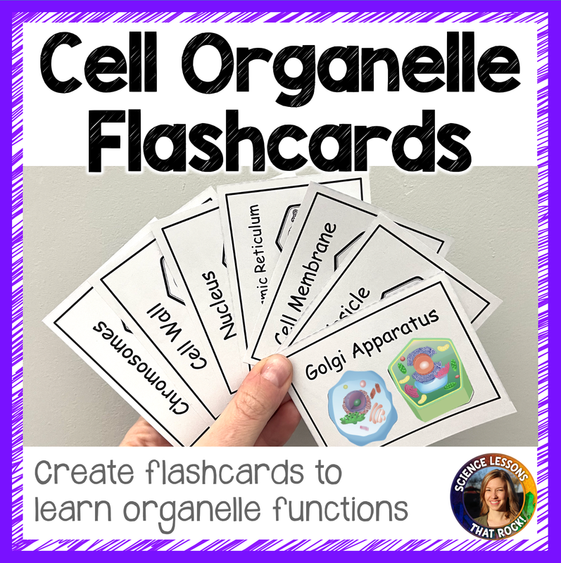Cell Organelle Flashcards