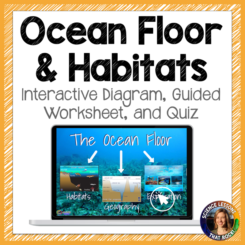 Ocean floor and habitats webquest activity Interactive Diagram