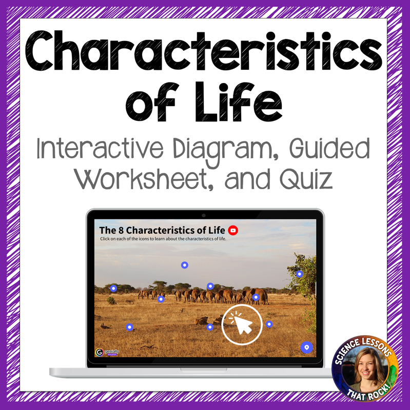 Characteristics of Life Interactive Diagram