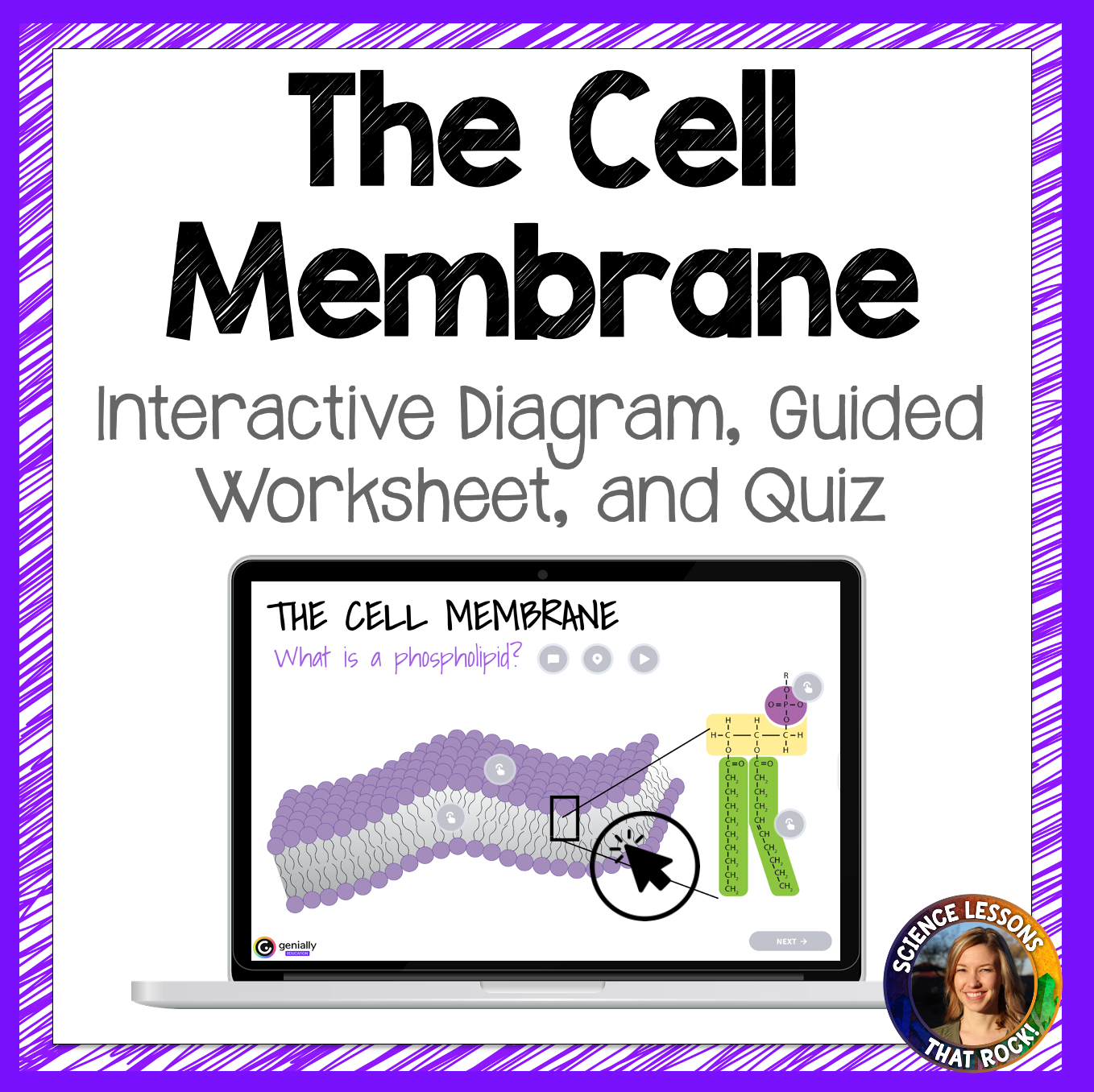 Cell Membrane Interactive Diagram Digital Webquest
