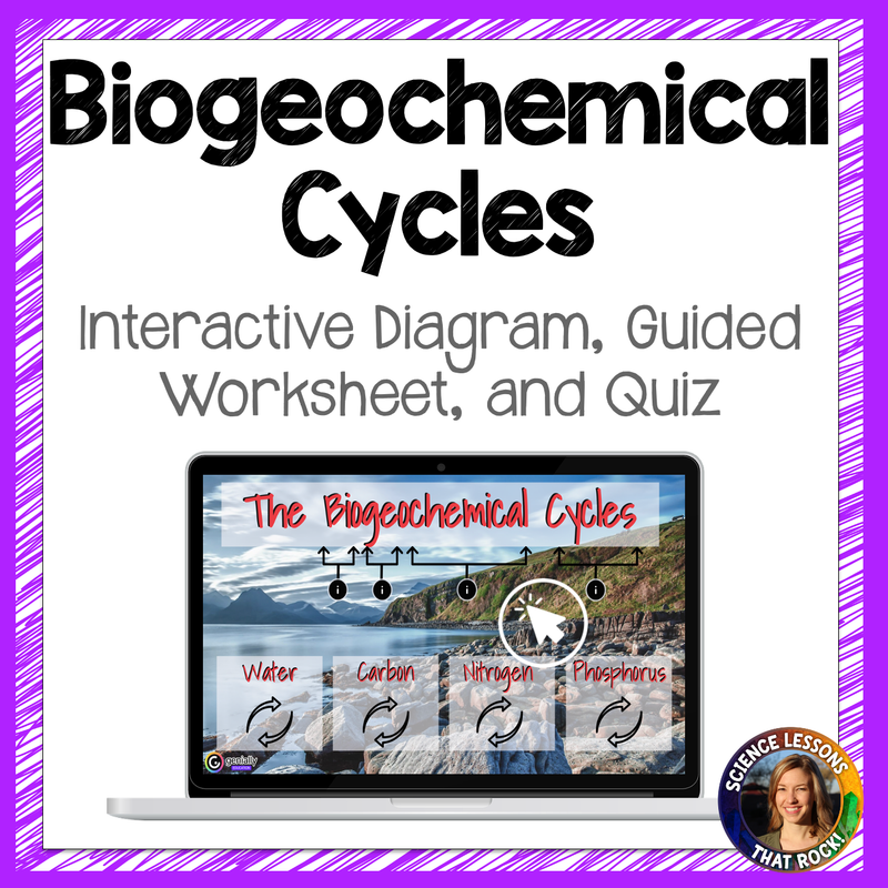 Biogeochemical Cycles Interactive Diagram