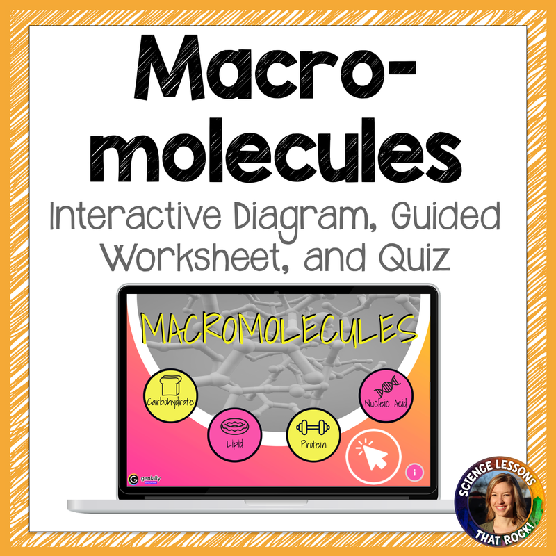 Macromolecules Biomolecules Interactive Diagram