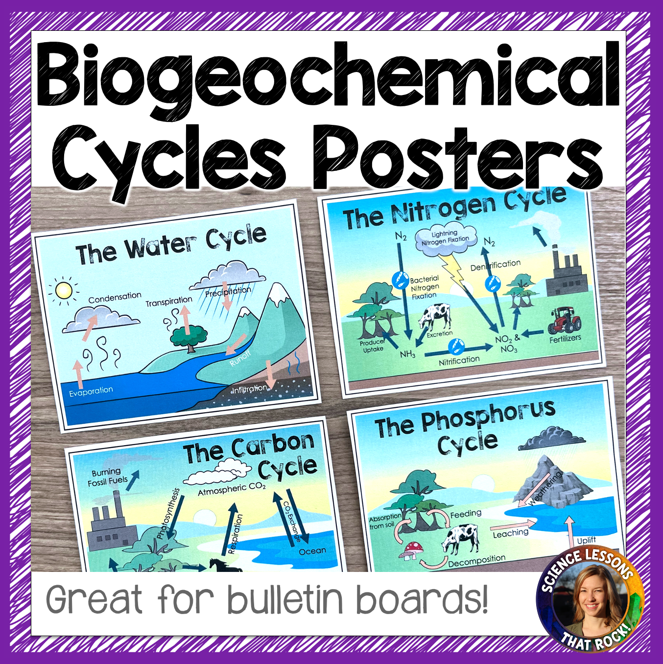 Biogeochemical Cycles Posters