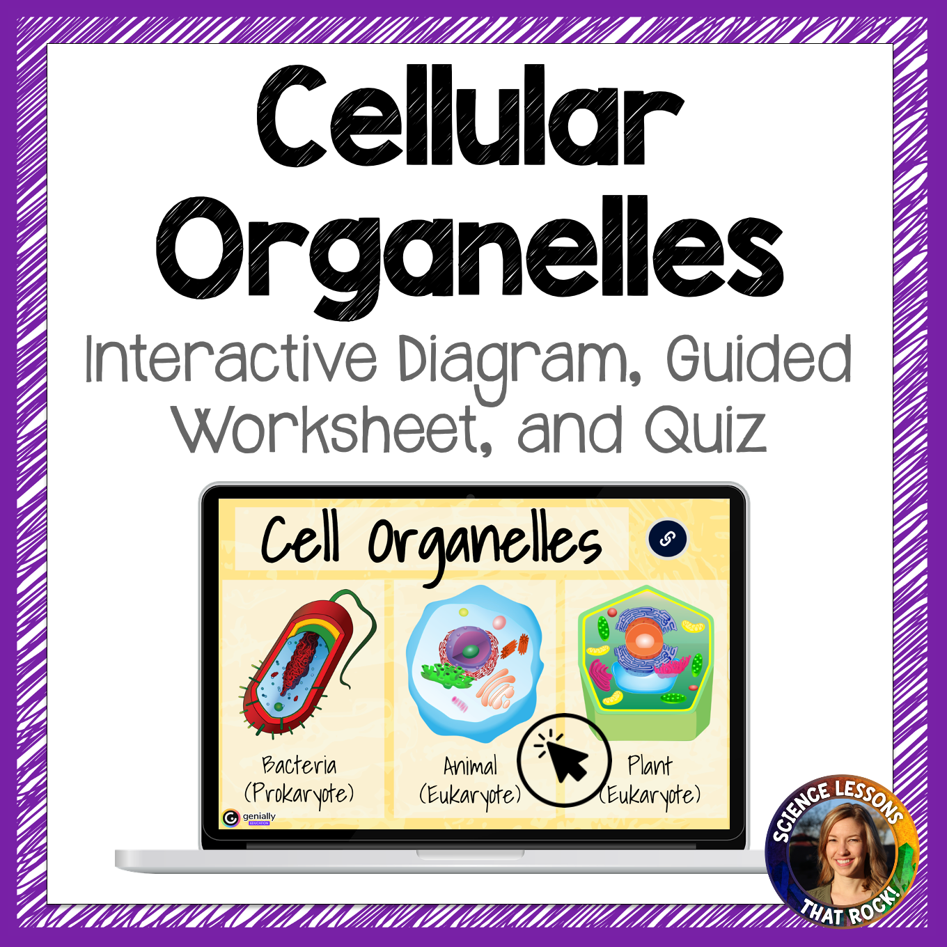 Cell Organelles Interactive Diagram