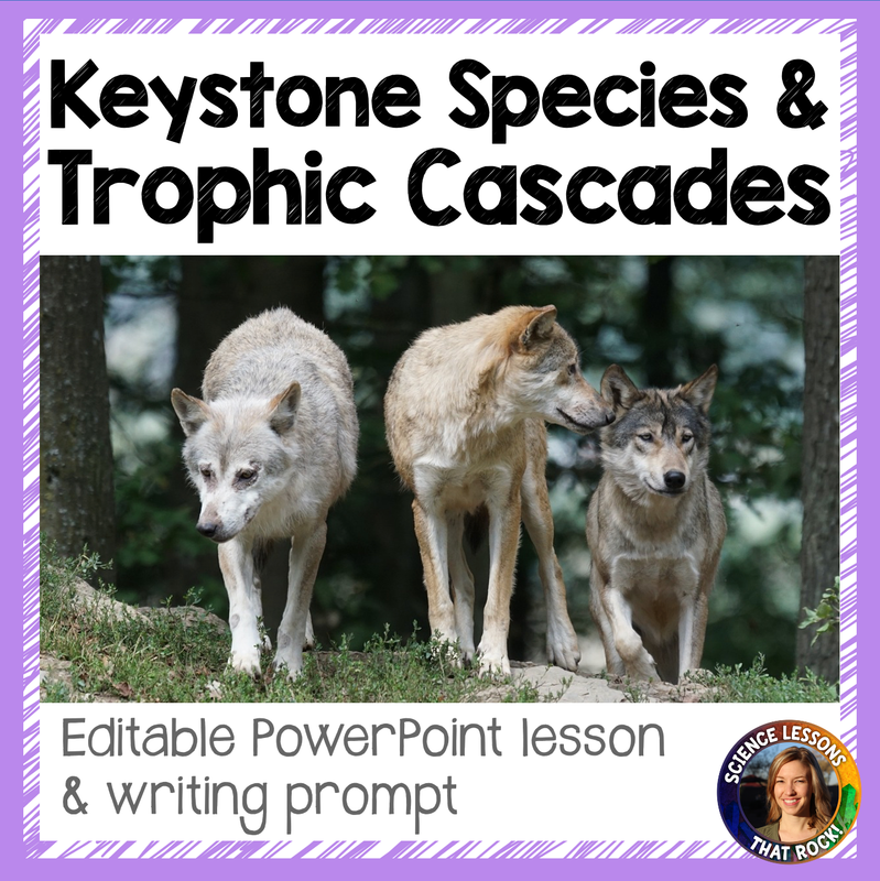 Keystone Species and Trophic Cascades