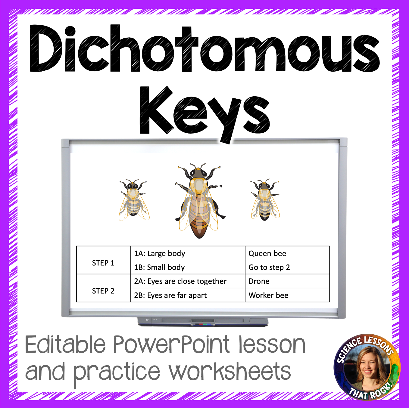 Dichotomous Keys Powerpoint and Worksheets