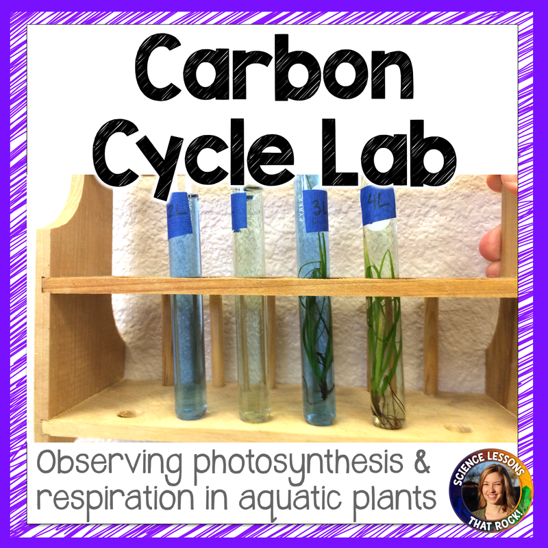 Carbon Cycle Lab- Photosynthesis and Respiration