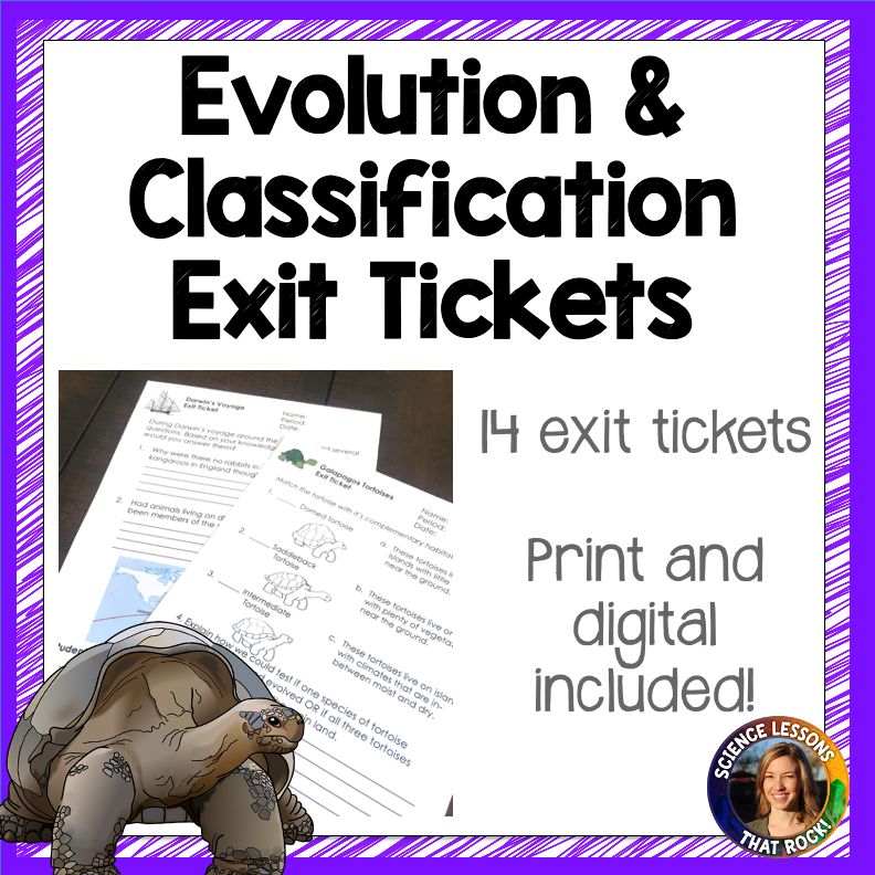 Evolution and Classification Exit Tickets