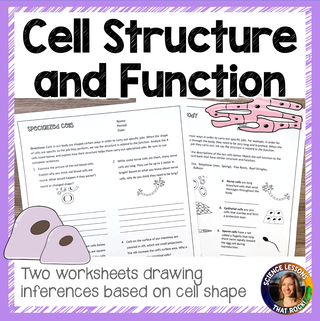Cell Structure and Function Worksheets
