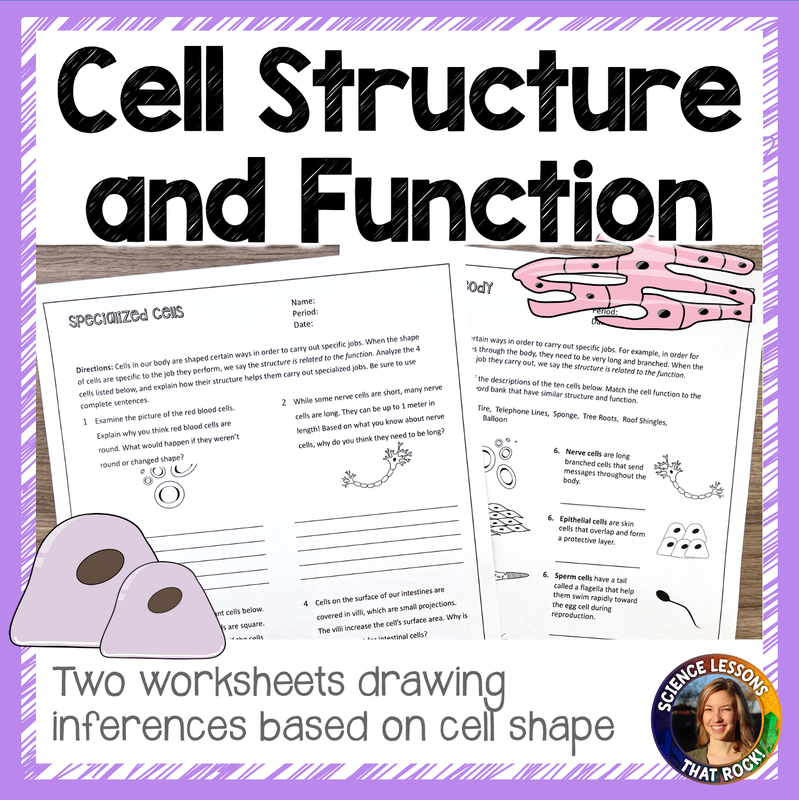 Cell Structure and Function Worksheets