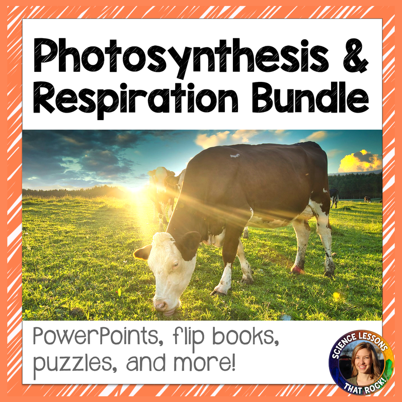 Photosynthesis and Respiration Bundle Photosynthesis and Respiration Bundle