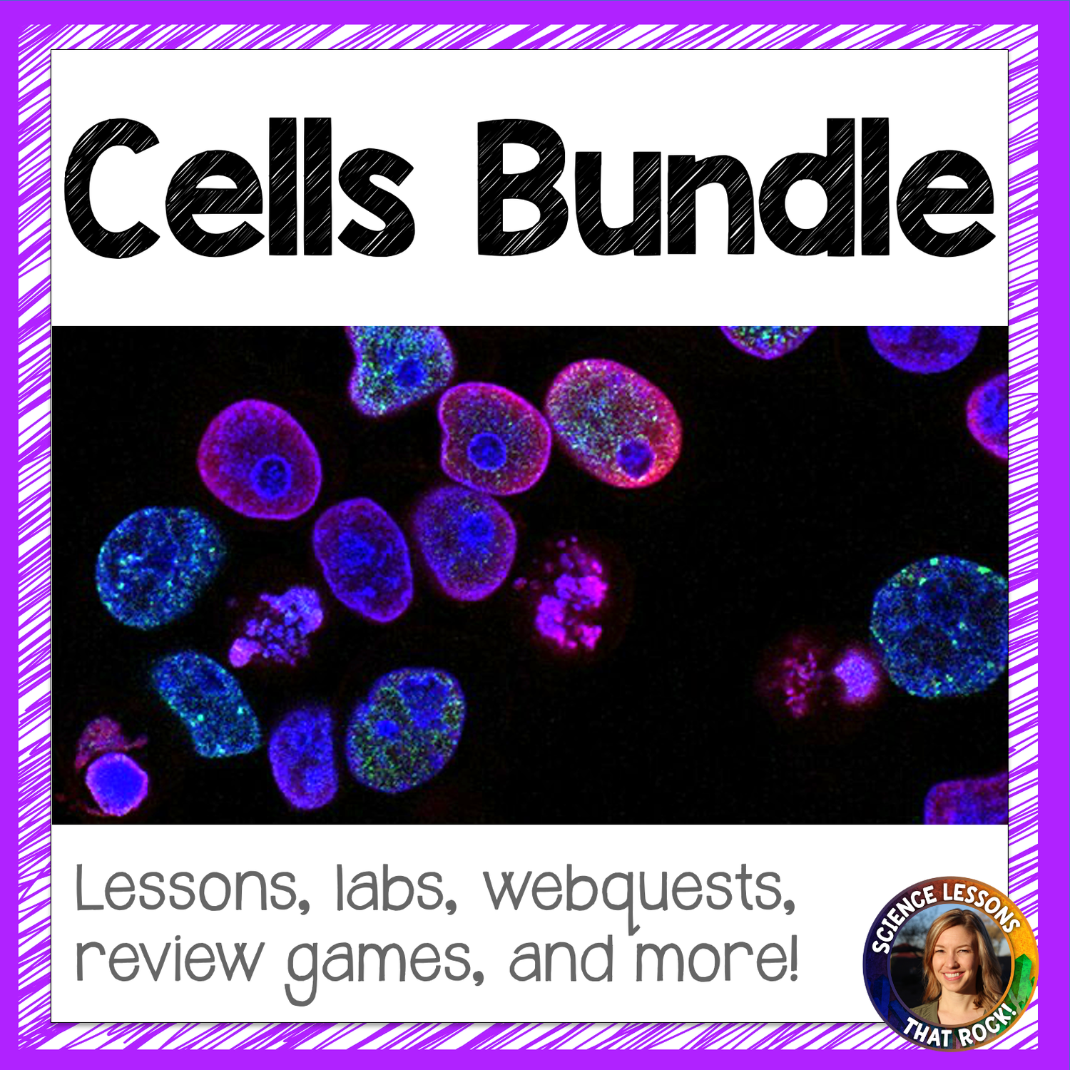 Cells Bundle