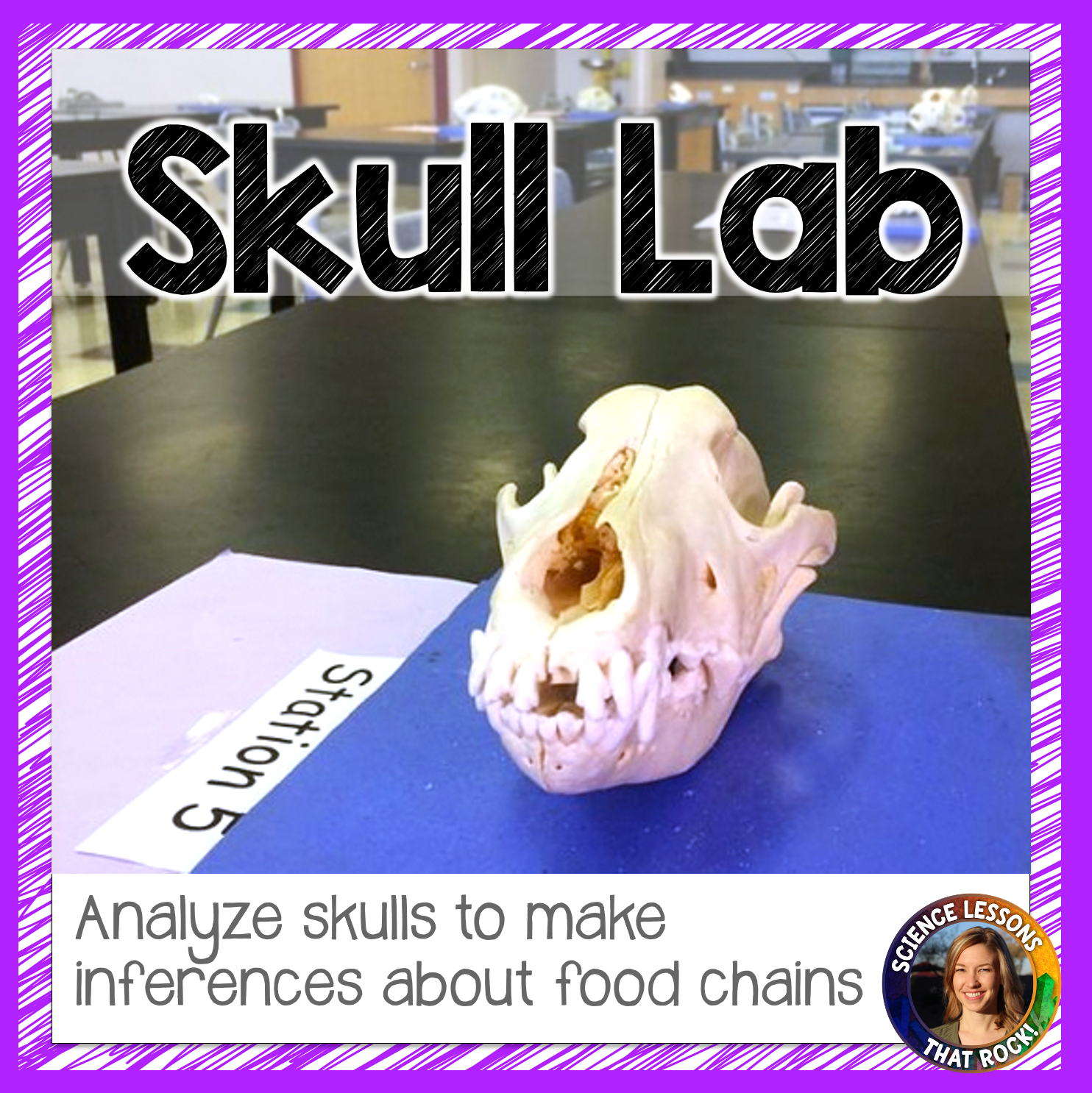 Food Chains Inference Lab with Skulls